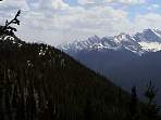 DSC00322.jpg
