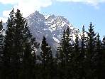 DSC00336.jpg