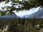 DSC00339.jpg