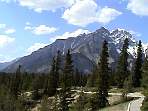 DSC00340.jpg
