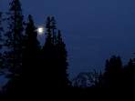 DSC00351.jpg