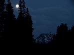 DSC00352.jpg