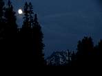 DSC00353.jpg