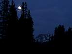 DSC00354.jpg