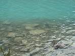 DSC00371.jpg