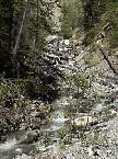 DSC00444.jpg