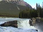 DSC00496.jpg