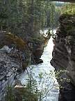 DSC00499.jpg