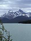 DSC00513.jpg