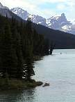 DSC00515.jpg