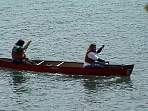 DSC00516.jpg