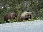 DSC00546.jpg