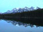 DSC00556.jpg
