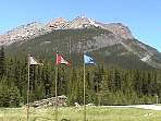 DSC00560.jpg