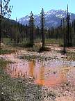 DSC00567.jpg