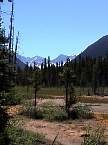 DSC00571.jpg