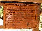 DSC00572.jpg