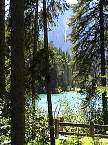 DSC00575.jpg