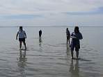 DSC00588.jpg