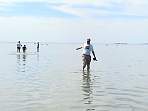 DSC00591.jpg