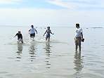 DSC00593.jpg