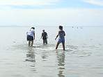 DSC00594.jpg