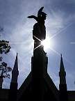 DSC00606.jpg