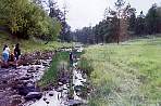 2002_06_Summer_Vacation_100_WF30A0216365678_11_427.jpg