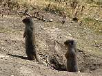 2002_06_Summer_Vacation_1012_DSC00420.JPG