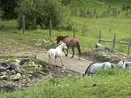 2002_06_Summer_Vacation_109_DSC00716.JPG