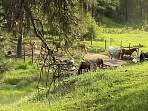 2002_06_Summer_Vacation_111_DSC00720.JPG