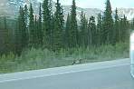 2002_06_Summer_Vacation_1155_WF30C0216281724_26_295.jpg