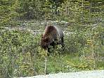 2002_06_Summer_Vacation_1156_DSC00539.JPG
