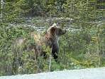 2002_06_Summer_Vacation_1158_DSC00541.JPG