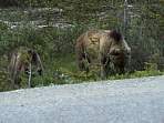 2002_06_Summer_Vacation_1159_DSC00542.JPG