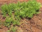 2002_06_Summer_Vacation_1191_DSC00570.JPG