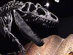 2002_06_Summer_Vacation_186_DSC00057.JPG