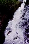2002_06_Summer_Vacation_206_WF30A0216365678_25_413.jpg