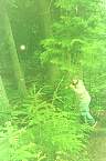 2002_06_Summer_Vacation_327_WF30C0216283336_15_047.jpg