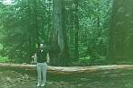 2002_06_Summer_Vacation_344_WF30C0216283116_13_338.jpg
