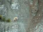 2002_06_Summer_Vacation_374_DSC00842.JPG