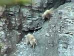 2002_06_Summer_Vacation_378_DSC00847.JPG