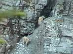 2002_06_Summer_Vacation_379_DSC00849.JPG