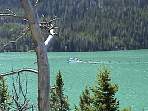 2002_06_Summer_Vacation_535_DSC00882.JPG