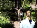 2002_06_Summer_Vacation_541_DSC00888.JPG