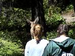 2002_06_Summer_Vacation_542_DSC00889.JPG