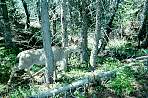 2002_06_Summer_Vacation_544_WF30C0216281027_06_229.jpg