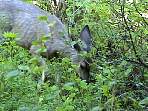 2002_06_Summer_Vacation_546_DSC00219.JPG