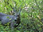 2002_06_Summer_Vacation_547_DSC00891.JPG