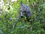 2002_06_Summer_Vacation_548_DSC00893.JPG